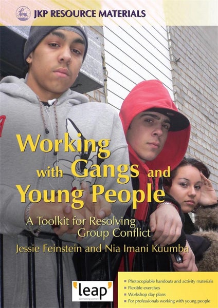 Working with Gangs and Young People by Jessie Feinstein - Paperback Carousel 1