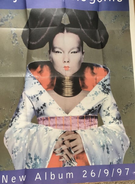 HOMOGENIC -Bjork -poster Carousel 3