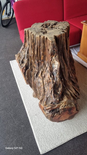 Swamp Kauri Stump (very,very heavy) Carousel 3