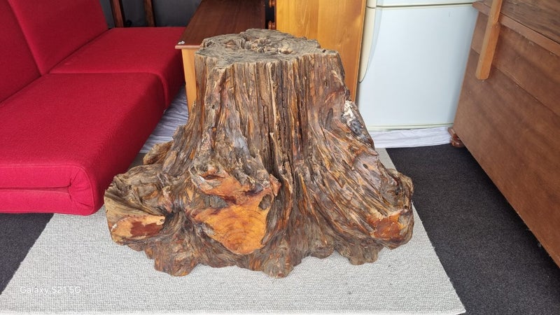 Swamp Kauri Stump (very,very heavy) Carousel 1
