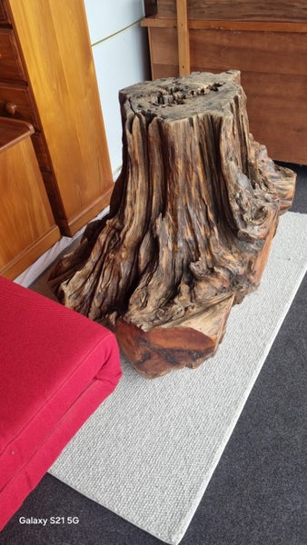 Swamp Kauri Stump (very,very heavy) Carousel 2
