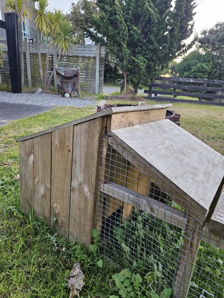 Well Made Outdoor Pet Hutch Carousel 2