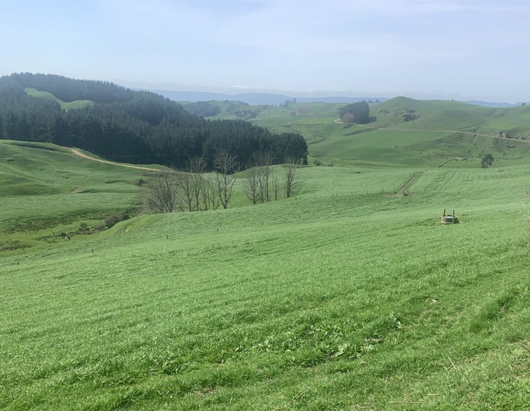 Image 1 of 29