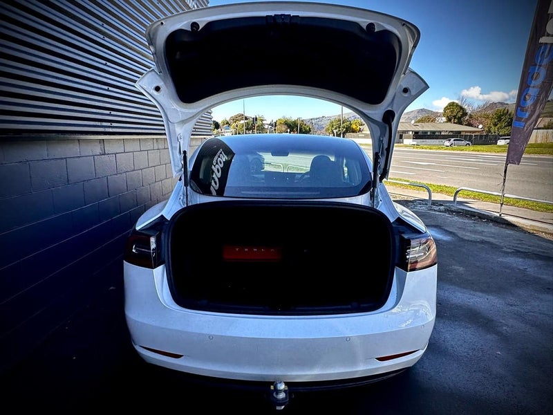 2020 Tesla Model 3 STANDARD RANGE+ EV63699190662530113