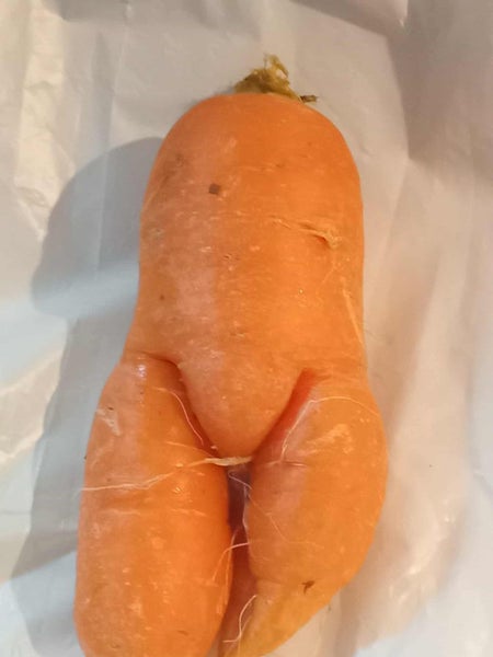 Naked Carrot, is it a Male or female you decide Carousel 2