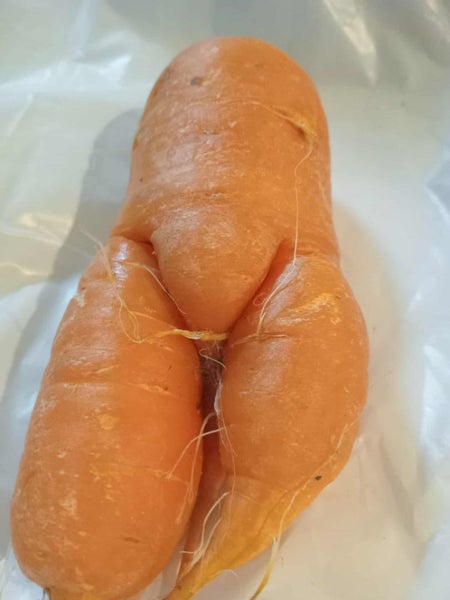 Naked Carrot, is it a Male or female you decide Carousel 1