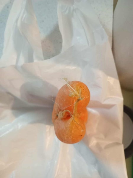 Naked Carrot, is it a Male or female you decide Carousel 6