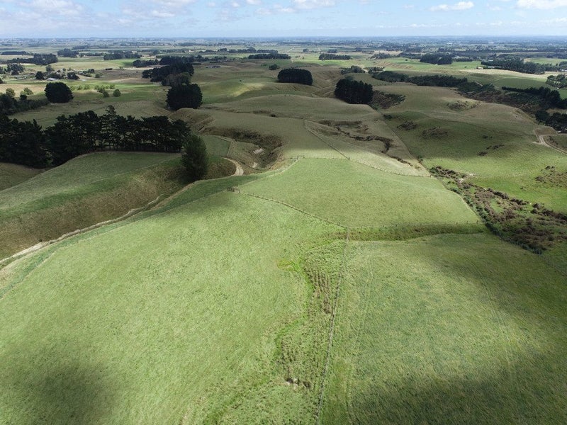 Image 1 of 25