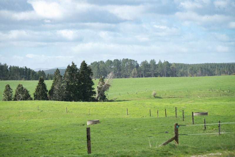 Image 2 of 17