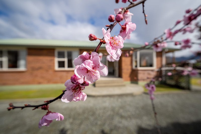 Image 1 of 25