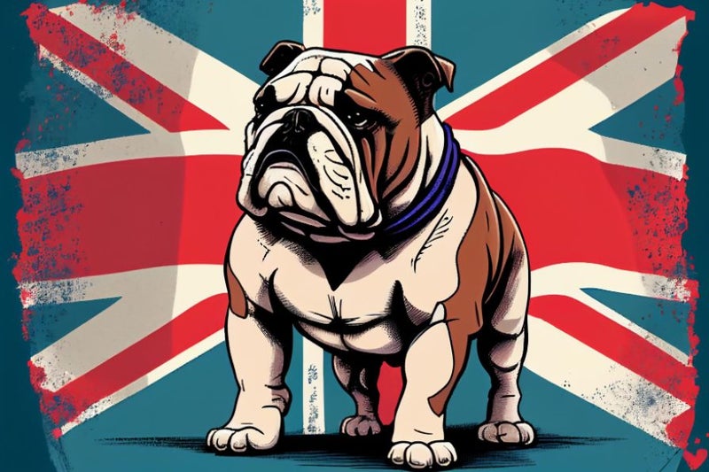 Framed $1 RESERVE 1 Panel Canvas Art Print - British Bulldog Carousel 1