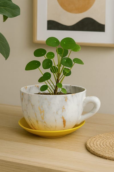 Mug Vase J17C-Y003 DD16088 Carousel 1