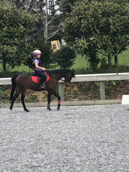 Awesome second pony Carousel 11