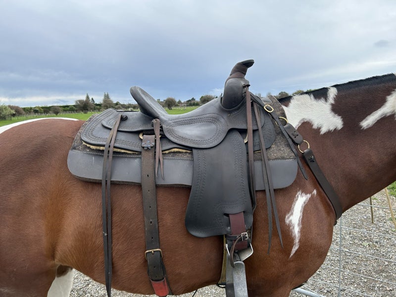 Saddles and stirrups63842537614210111