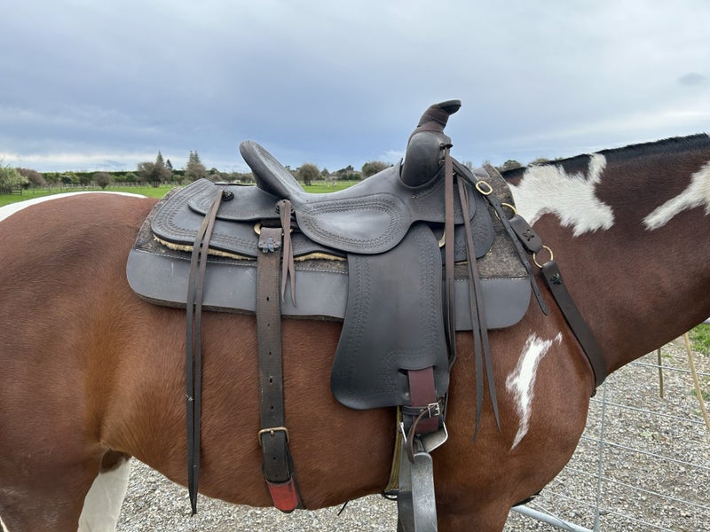 Saddles and stirrups63842537614210110