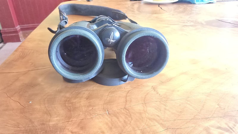 Swarovski EL 10x42 Carousel 1