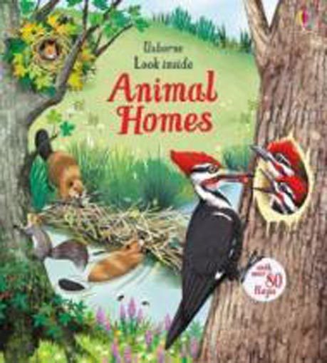 Look Inside Animal Homes (Look Inside) [Board book Carousel 1
