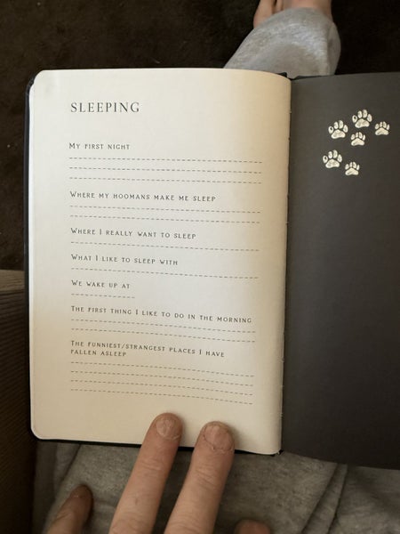 Puppy books63745381971459111