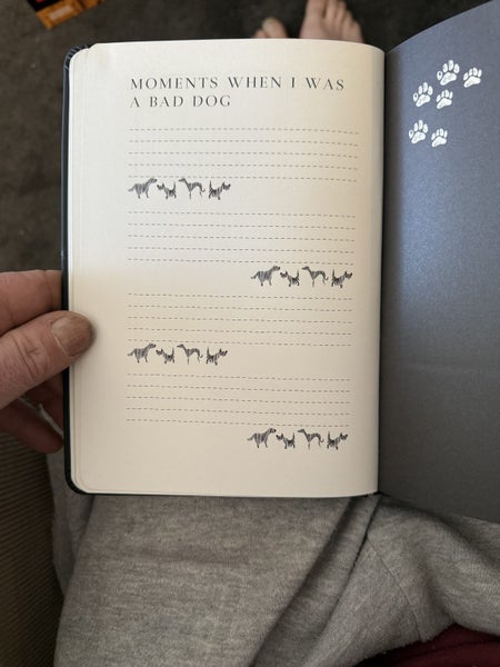 Puppy books Carousel 14