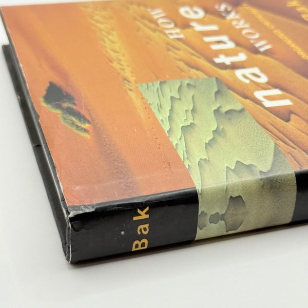 How Nature Works The Science of Self-Organized Criticality by Per Bak64495685270531114