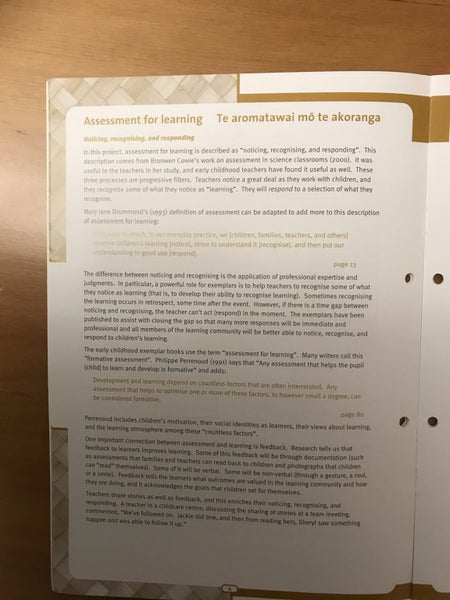 Kei Tua o te Pae - Assessment for Learning: Early Childhood Exemplars - full set Carousel 5