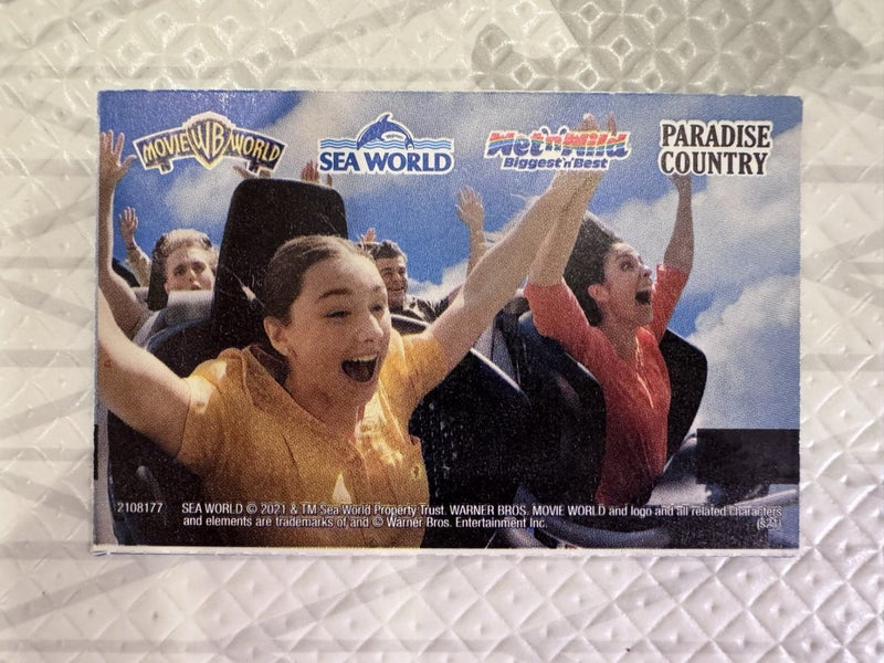 Gold Coast Theme Park Super Pass Carousel 1