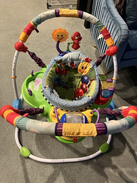 Baby Einsteins activity jumper Carousel 2