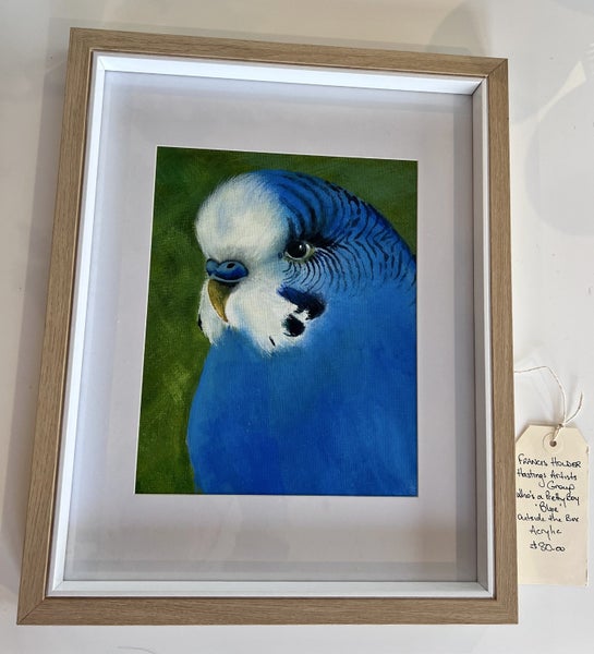 ORIGINAL Art Blue Budgie Acrylic Francis Holder NZ Never Hung NEW w frame Carousel 1