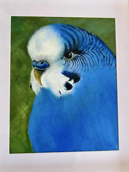 ORIGINAL Art Blue Budgie Acrylic Francis Holder NZ Never Hung NEW w frame Carousel 2