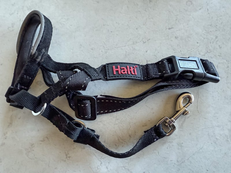 Halti Headcollar for dog Carousel 2