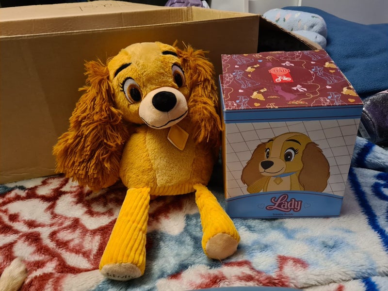 Lady Scentsy Buddy Carousel 1