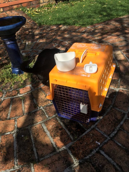 Cat or small Dog - travel cage Carousel 1