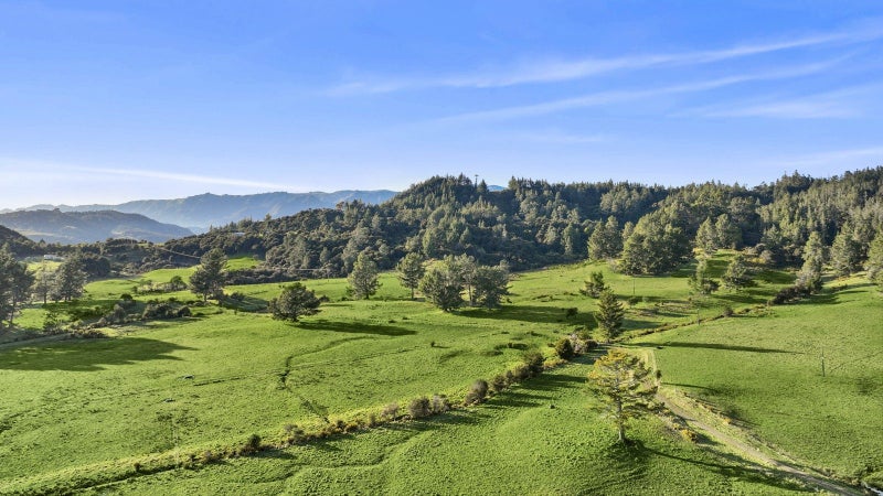 Grazing, lifestyle and potential development63740694990081113