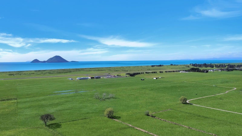 Prime 26.37ha dairy support unit - Whakatane63742296609409113