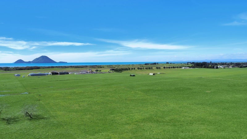 Prime 26.37ha dairy support unit - Whakatane63742296609409114