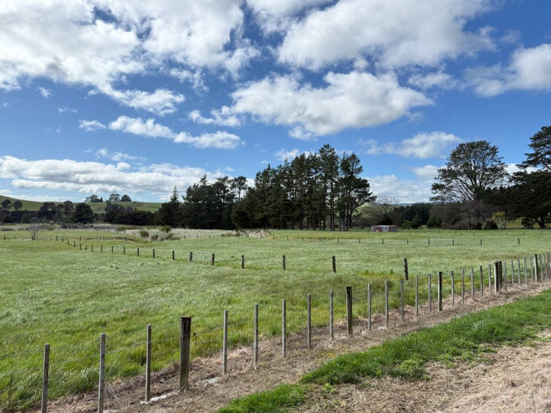Image 1 of 25
