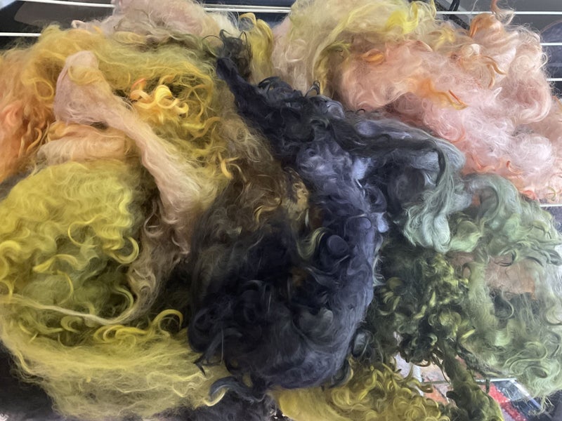 * BEAUTIFUL LINCOLN LONG FLEECE HAND DYED 100 grams SPRINGTIME Carousel 1