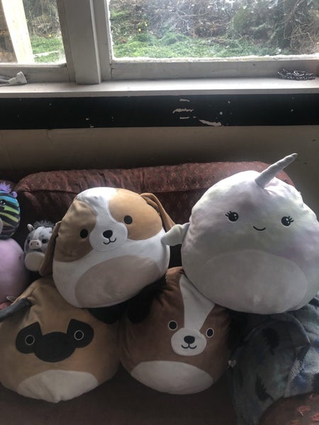 Squishmallow bulk lot Carousel 2