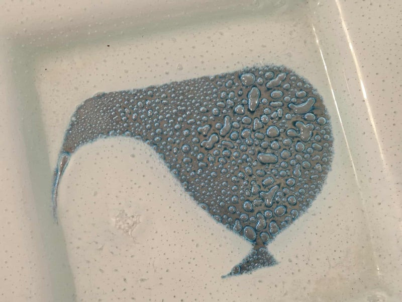 Kiwi Bird (NZ) Art Glass Square Dish Carousel 9