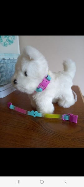 AMERICAN GIRL BRAND Carousel 1