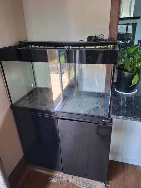 Fish tank Carousel 1
