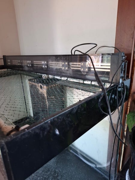 Fish tank Carousel 2