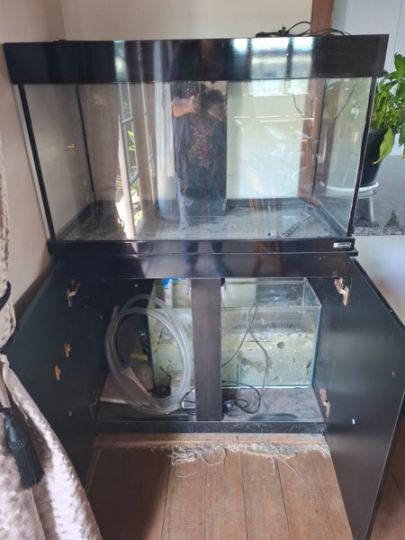 Fish tank Carousel 3