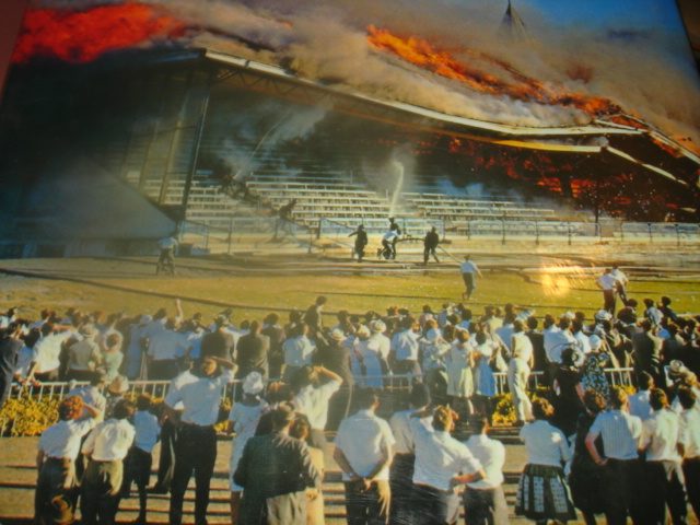 THE CUP 1903-2003 100 YEARS F THE NZ TROTTING CUP BERNIE WOOD Carousel 2