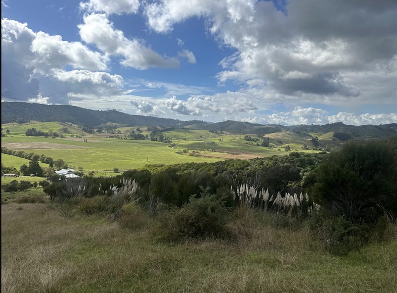 Image 3 of 5