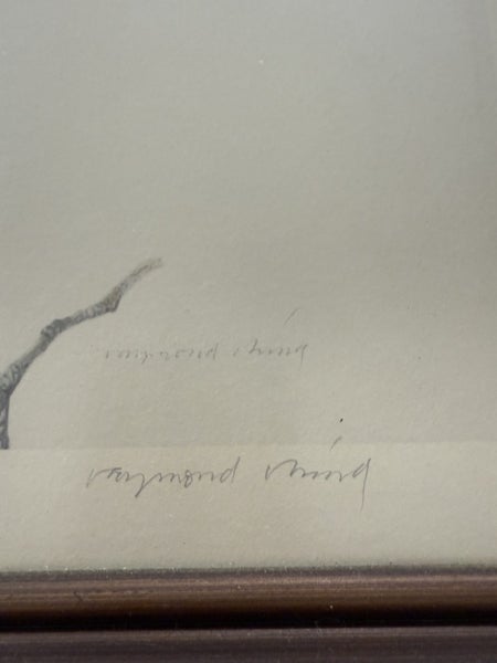 Raymond Ching Limited Edition print - Kingfisher - signed and numbered Carousel 7