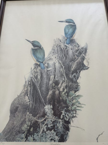 Raymond Ching Limited Edition print - Kingfisher - signed and numbered Carousel 2