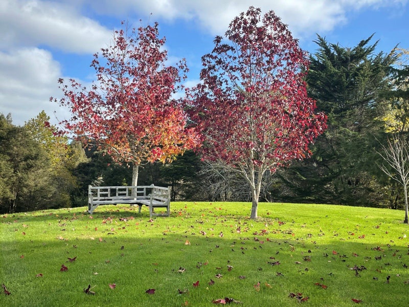 Image 2 of 12