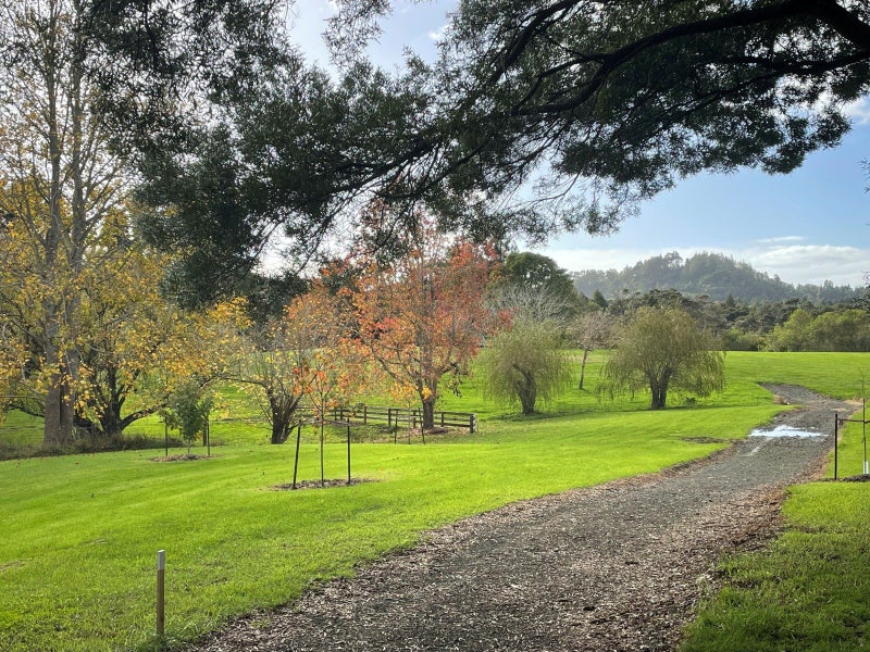 Image 3 of 12