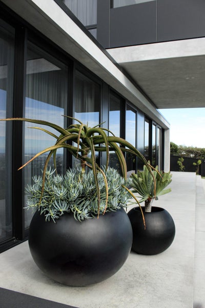 Texture Plants Carousel 4